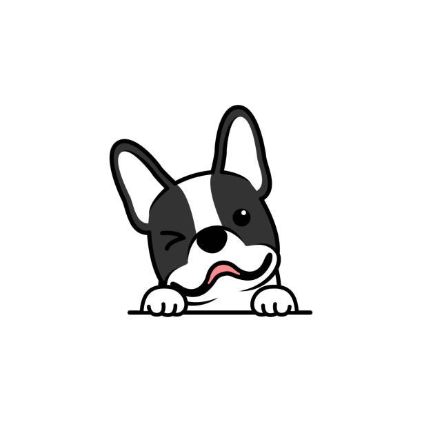 wpChatIcon